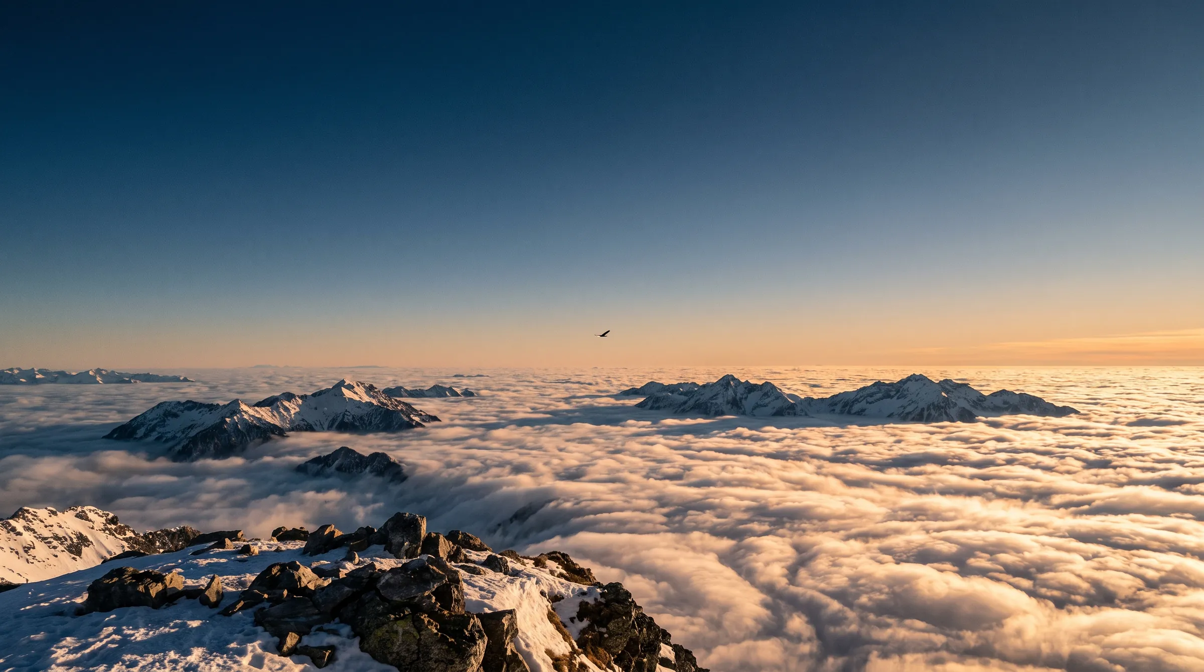 View from an alpine summit across a sea of clouds at sunrise, with an eagle gliding in the distance